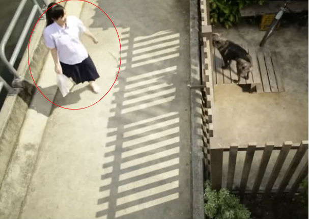 YouTube: ¡Muy conmovedor! Los perros le daban miedo hasta que...