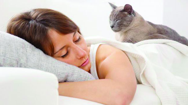 ¿Por qué tu gato duerme encima de ti? ¿Por qué tu gato duerme encima de ti?