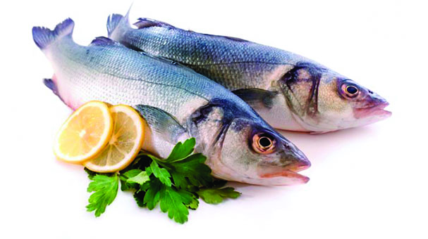 Salud: Reduce el estrés con estos alimentos Salud: Reduce el estrés con estos alimentos