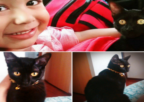 Ayudemos a encontrar a Negrita, sus familiares la esperan en casa (FOTO) Ayudemos a encontrar a Negrita, sus familiares la esperan en casa (FOTO)