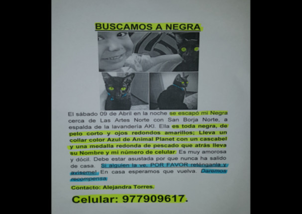 Ayudemos a encontrar a Negrita, sus familiares la esperan en casa (FOTO) Ayudemos a encontrar a Negrita, sus familiares la esperan en casa (FOTO)