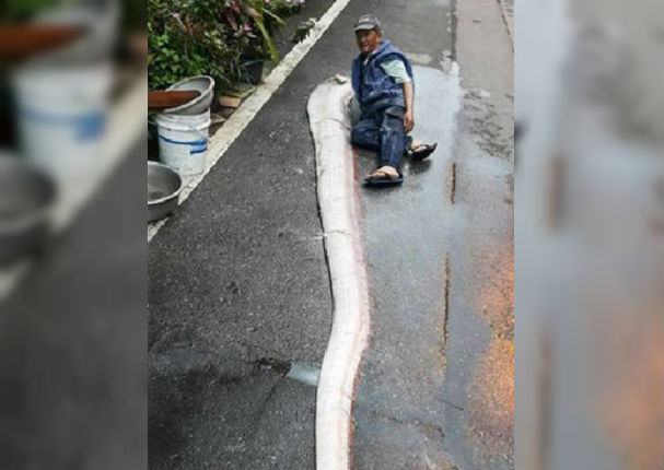 ¡Insólito! Monstruo marino habría aparecido en Taiwán luego de terremoto (FOTOS) ¡Insólito! Monstruo marino habría aparecido en Taiwán luego de terremoto (FOTOS)