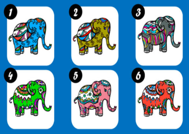 ¡Te sorprenderás! Elige un elefante y descubre lo que dice de ti