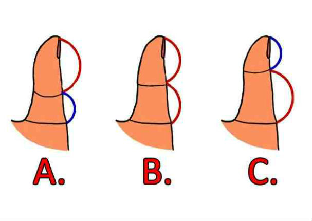 Test: Esto dice tu dedo pulgar sobre tu personalidad y cómo te irá en el amor