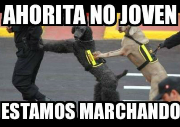 Fiestas Patrias: Ríete con los mejores memes por 28 y 29 de julio Fiestas Patrias: Ríete con los mejores memes por 28 y 29 de julio