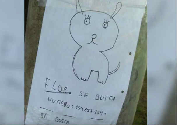 Facebook: ¡Mascota se pierde y niños la buscan así!