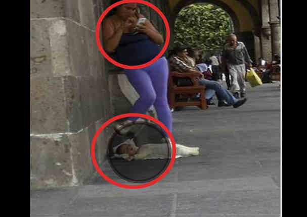 Facebook: Madre abandonó a su bebé para usar Wi Fi