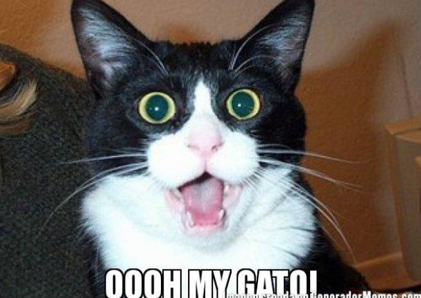 Dr. Vet : ¿Tienes gatos? Entonces debes saber que... - VIDEO