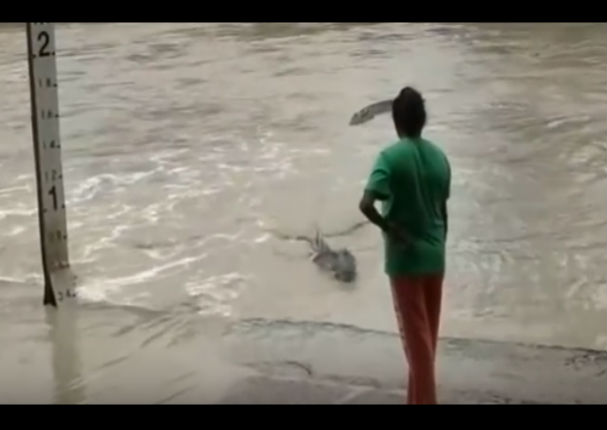 YouTube:  Apareció tremendo cocodrilo y la joven actuó así