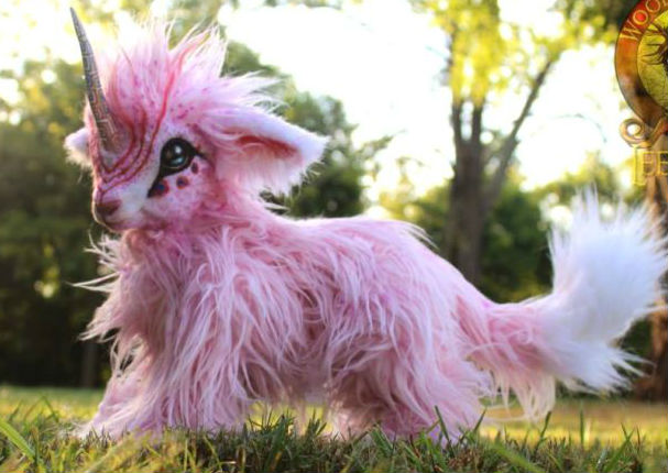Viral: ¿Te gustaría tener a estos animales en casa? - FOTOS