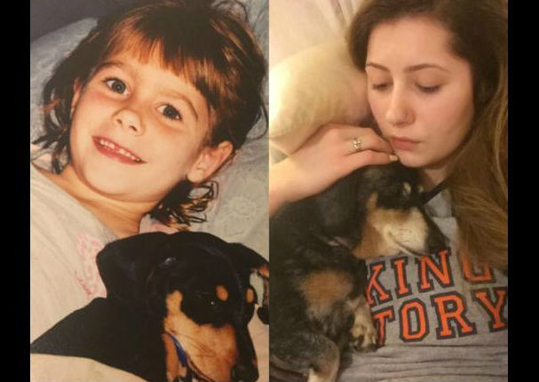 Las  fotos más conmovedoras de perros y sus dueños con el pasar del tiempo