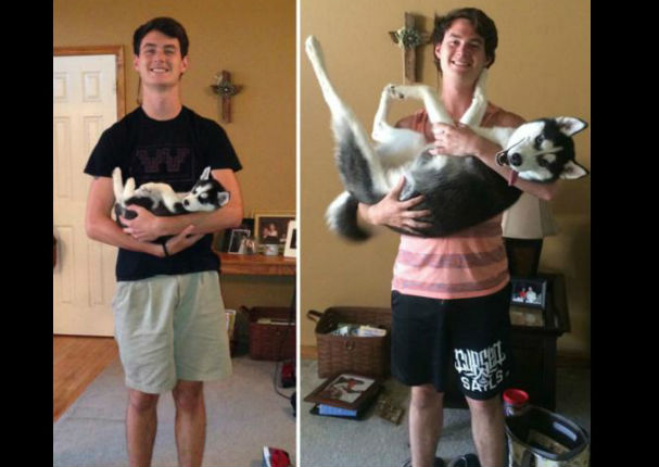 Las  fotos más conmovedoras de perros y sus dueños con el pasar del tiempo