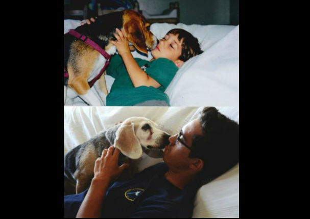 Las  fotos más conmovedoras de perros y sus dueños con el pasar del tiempo