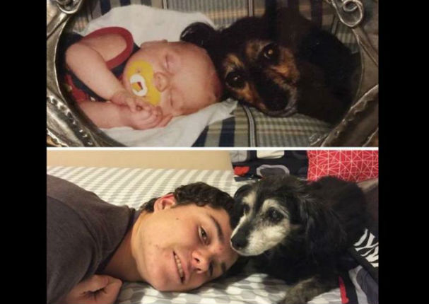Las  fotos más conmovedoras de perros y sus dueños con el pasar del tiempo