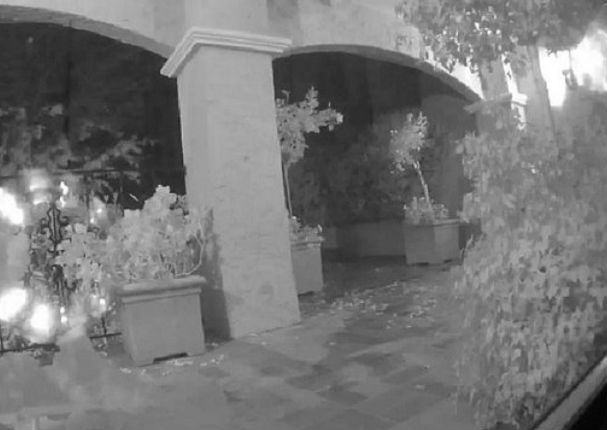 Facebook: Algo espeluznante apareció en su jardín - VIDEO