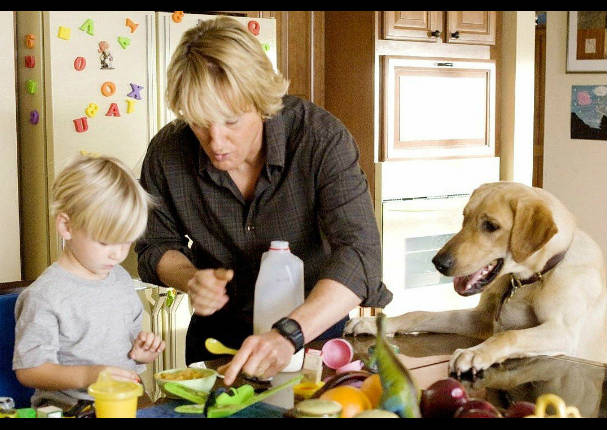 ¡Increíble! Vínculo de amo-perro es la misma que de madre-hijo