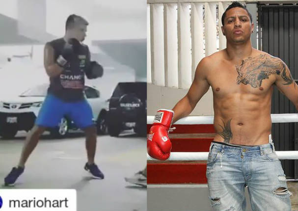 'Chato' Hart se agrandó con Jonathan Maicelo y sucedió lo peor - VIDEO