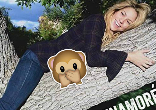 Cibernautas hacen llorar a Shakira con esta burla - FOTOS