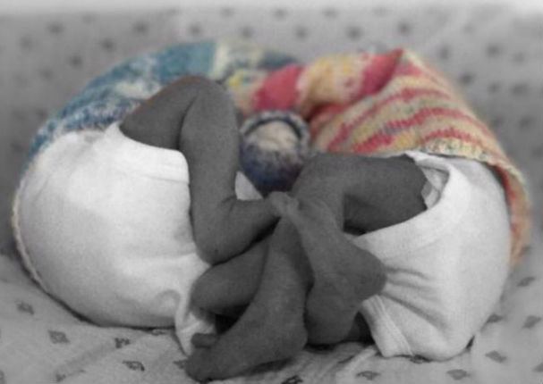 ¡Qué turnuras! Ludwika Paleta enternece Instagram al publicar foto de sus mellizos Bárbara y Sebastián