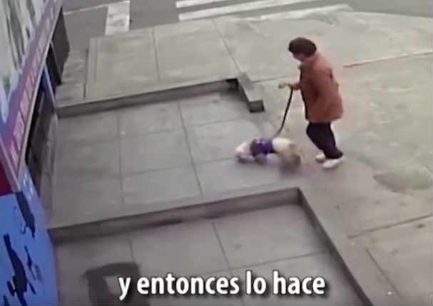 Perrito se queda triste y sufre tras ser abandonado por su dueña en la calle