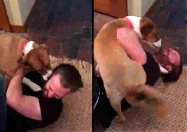 'Capitán América': Emotivo reencuentro con mascota