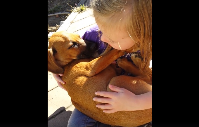 Niña enternece al mundo cantándole una canción de cuna a su cachorro - VIDEO