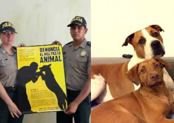 PNP inauguró el Departamento de Protección Y Bienestar Animal