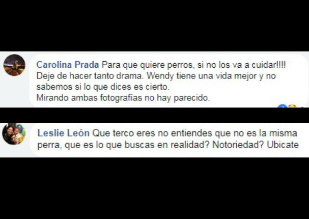 Usuarios desmienten a supuesto dueño de 'Wendy', 'la perrita de Hollywood' (FOTOS) Usuarios desmienten a supuesto dueño de 'Wendy', 'la perrita de Hollywood' (FOTOS)