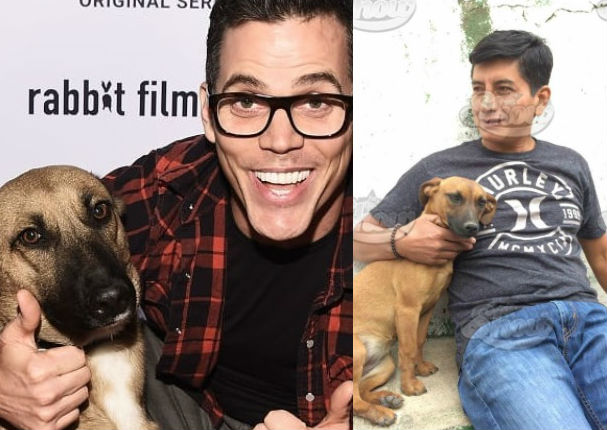 Usuarios desmienten a supuesto dueño de 'Wendy', 'la perrita de Hollywood' (FOTOS) Usuarios desmienten a supuesto dueño de 'Wendy', 'la perrita de Hollywood' (FOTOS)