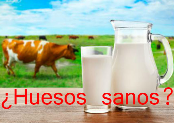 Estudios demostraron que la leche no es tan buena para los huesos (VIDEO)