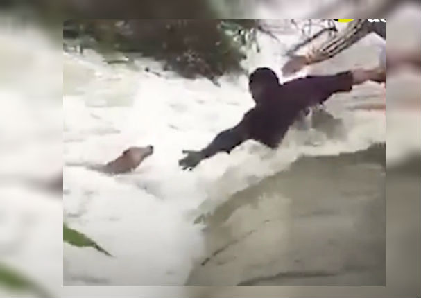 Facebook Viral: Hombres dan la vida por evitar que perro se ahogue (VIDEO)
