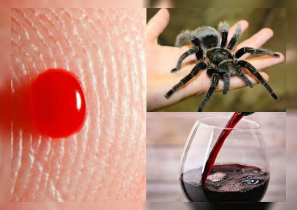 ¿Qué significa soñar con sangre, vino o tarántulas?