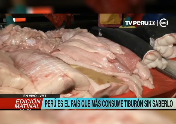 Tu familia pudo haber comido tiburón y ninguno se dio cuenta ¡Hasta ahora!