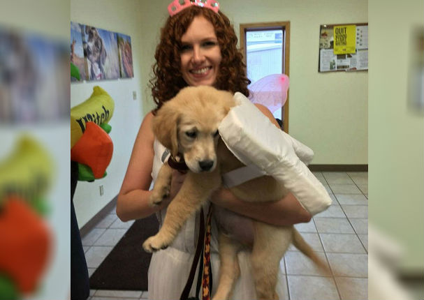 Golden Retriever con brackets causa ternura en redes (FOTOS)