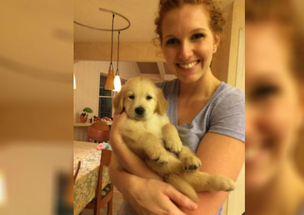 Golden Retriever con brackets causa ternura en redes (FOTOS)