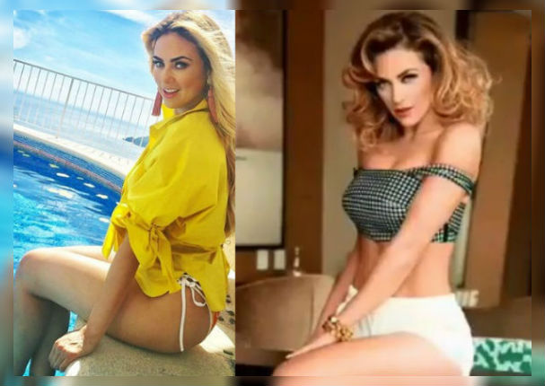 Aracely Arámbula cocina en bikini y enamora a todos (VIDEO)