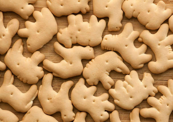 Galletas de animalitos traerían grandes beneficios para tu salud