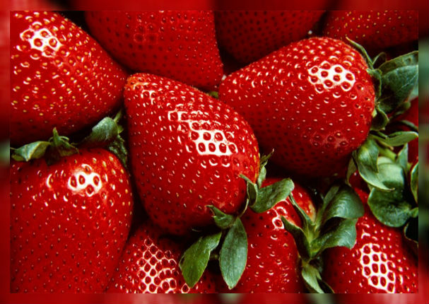 ¿Por qué debes lavar las fresas con lejía antes de consumirlas?