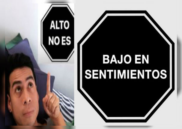 Octógonos causan sensación en las redes sociales con inusuales frases