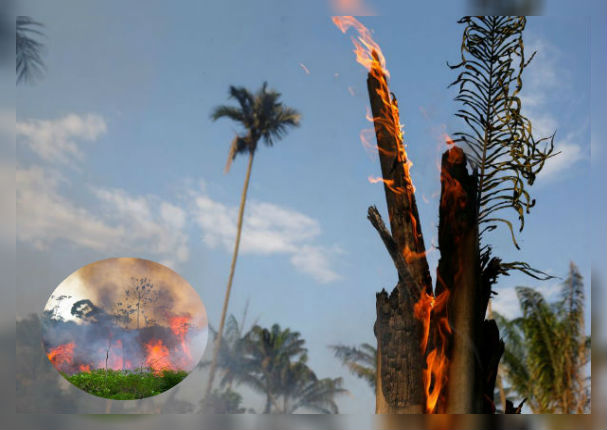 Así luce la Amazonía tras terrible incendio forestal