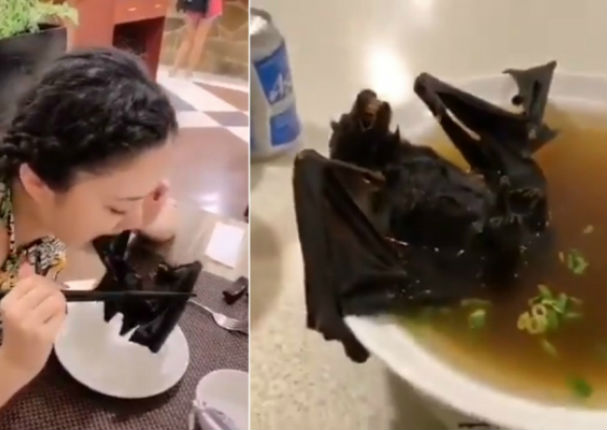 Se descubre el origen del brote del coronavirus: Sopa de murciélago