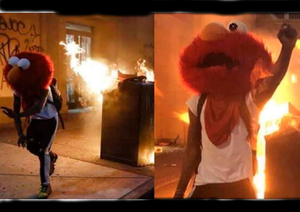 Elmo se sumó a las violentas protestas en Estados Unidos y se vuelve viral