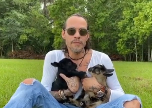 Marc Anthony confiesa que se reconecta con la naturaleza y rescata animales