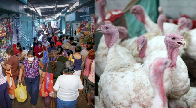 Anuncian escasez de pavo para fiestas navideñas | FOTOS