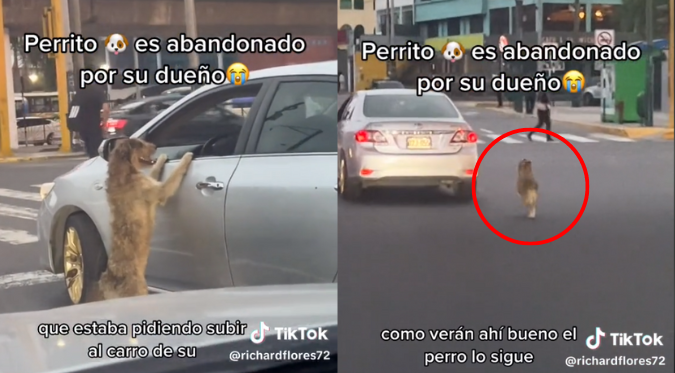 CONDUCTOR ABANDONA a su PERRITO en PLENA CALLE y GENERA INDIGNACIÓN: “Se me parte el corazón”