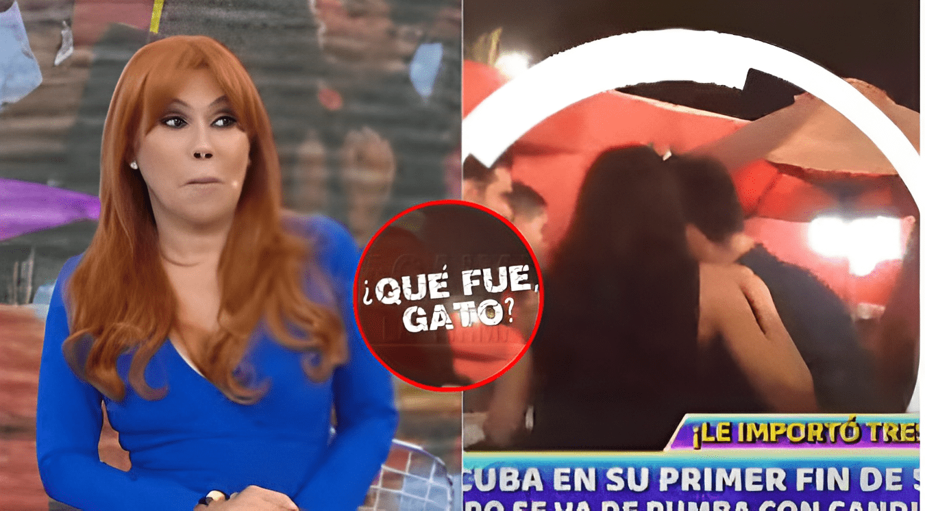 'GATO' CUBA es PROTAGONISTA de NUEVO AMPAY y MAGALY LO DESTRUYE: “Más rápido que gato techero” | VIDEO