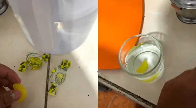 ¡INGENIO PERUANO! JOVEN HACE LIMONADA con CARAMELO DE LIMÓN por ALZA DE PRECIOS: “Es un lujo”