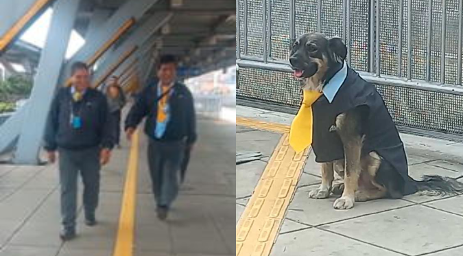 PERRITO VESTIDO de CHOFER de METROPOLITANO CAUSA TERNURA a CIBERNAUTAS: “Esperamos que esté en planilla”